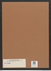 Navicula sp. (de-Toni-Nr.: Genus 1) Zeichnungen Sammlung Grunow Mappe 00788 (Herbarium_W_Grunow_drawings_Folder_00788)